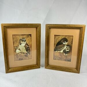 Pair of Richard Hinger Owl bird prints framed & matted 8x6”